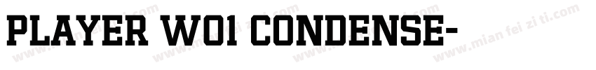 Player W01 Condense字体转换